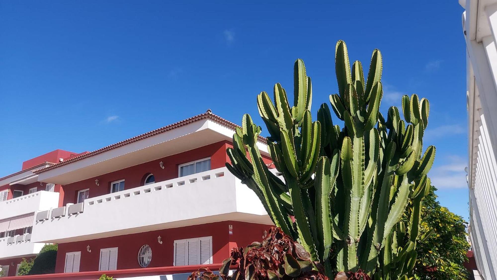 Rdg Home Puertito de Guimar Εξωτερικό φωτογραφία